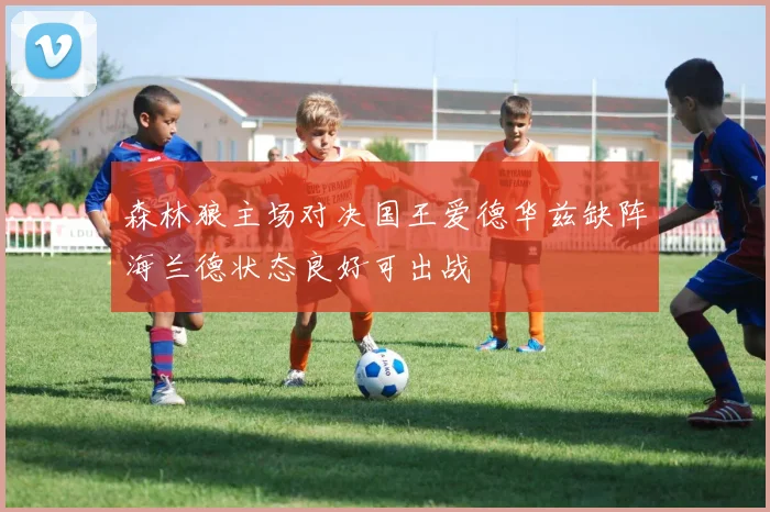 森林狼主场对决国王爱德华兹缺阵海兰德状态良好可出战