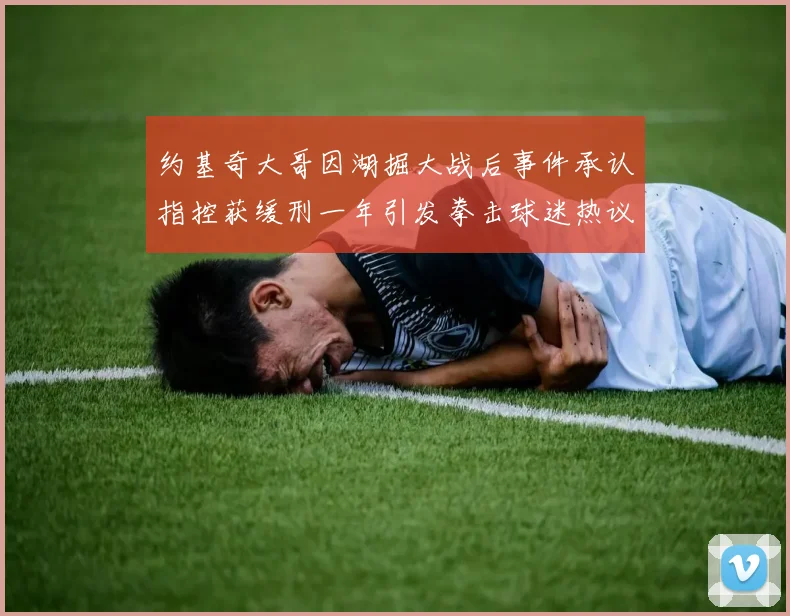 约基奇大哥因湖掘大战后事件承认指控获缓刑一年引发拳击球迷热议
