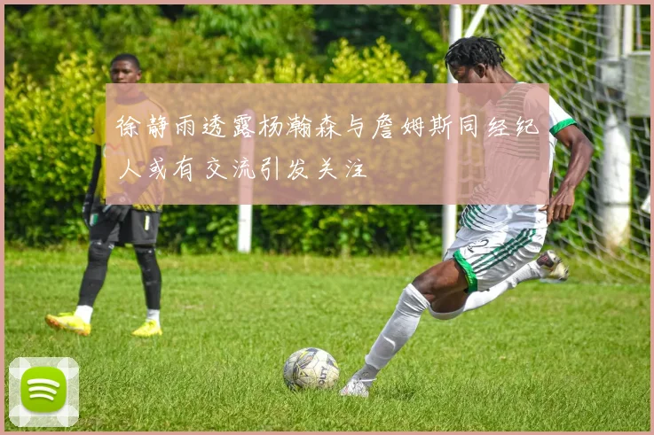徐静雨透露杨瀚森与詹姆斯同经纪人或有交流引发关注